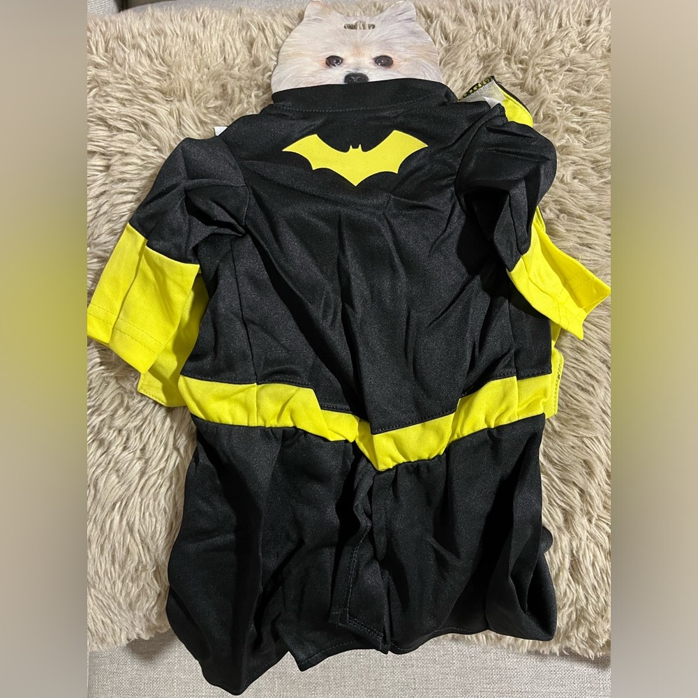 Pet Super Hero Costume